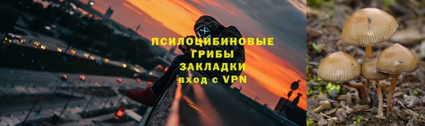 винт Слюдянка