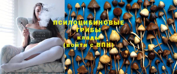 дурь Алексин
