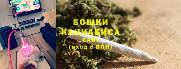 гашик Снежногорск