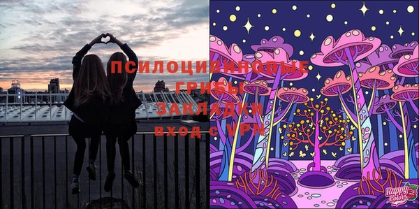 винт Слюдянка