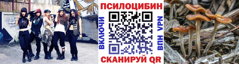 Галлюциногенные грибы мицелий  Кольчугино 
