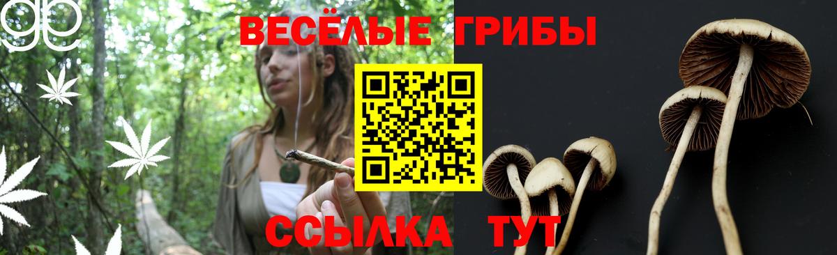 Галлюциногенные грибы Cubensis  Вход с VPN  Псилоцибиновые грибы мухоморы  хочу   Кольчугино 