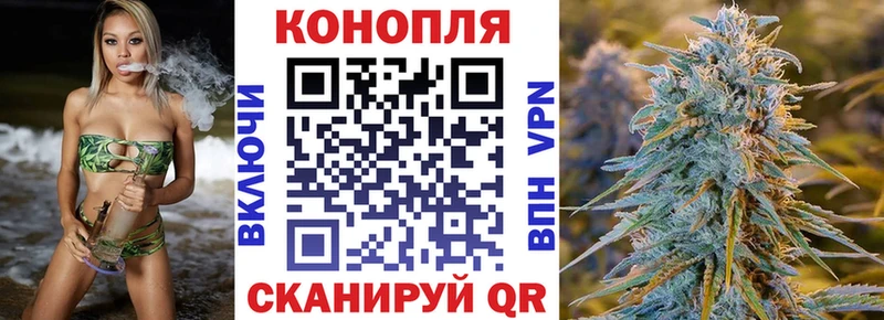 Каннабис White Widow Кольчугино